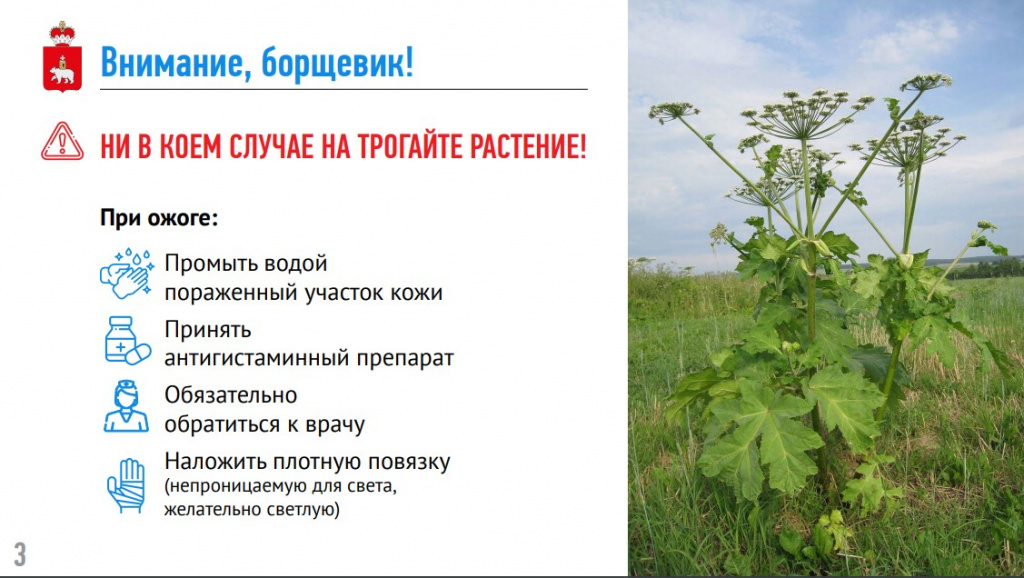 ¦С¦-TАTЙ¦¦¦-¦¬¦¦_3.jpg ¦С¦-TАTЙ¦¦¦-¦¬¦¦_3.jpg