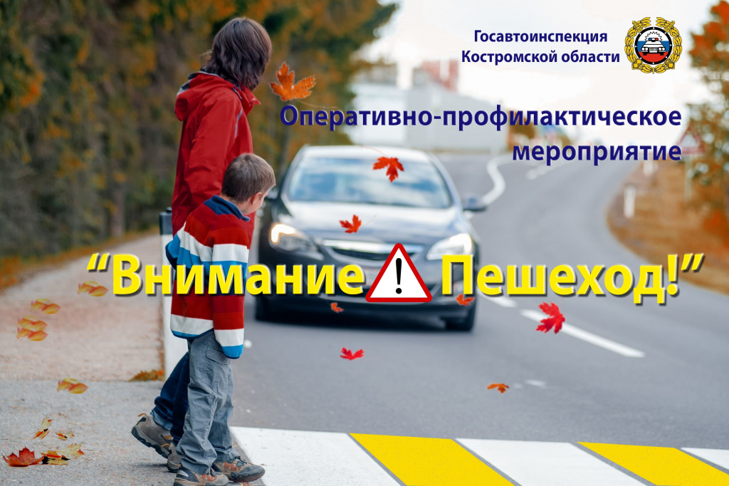 внимание пешеход.jpg